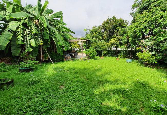 ขายที่ดิน ในหมู่บ้านซันไรซ์กรีน ซอยนวมินทร์ 143 เขตบึงกุ่ม กรุงเทพมหานคร 6