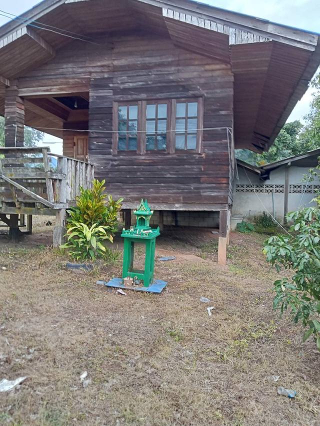 ที่ดิน จังหวัดเชียงใหม่ 1