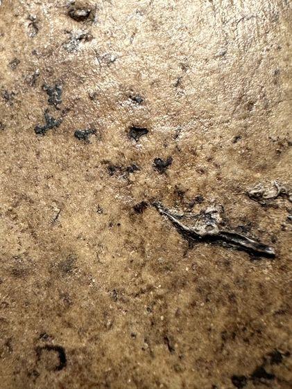 "สมเด็จวัดระฆัง พิมพ์อกครุฑเศียรบารตพิมพ์กลาง (พิมพ์ไกเซอร์)" 10