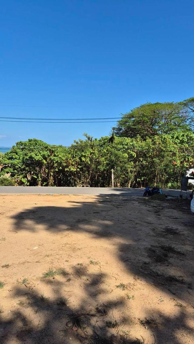 🎊ขายที่ดินภูเก็ต ติดทะเล 3 งาน 88.1 ตร.ว. เกาะสิเหร่ ต.รัษฎา อ.เมืองภูเก็ต จ.ภูเก็ต🎊 2