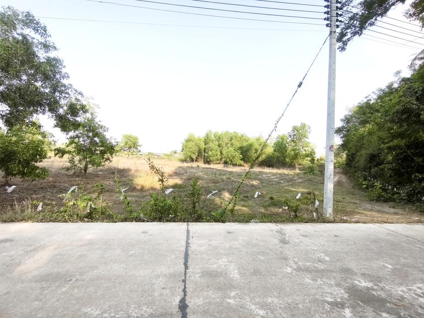 ขายที่ดิน 4 ไร่เศษ ไกล้นิคม 304 2