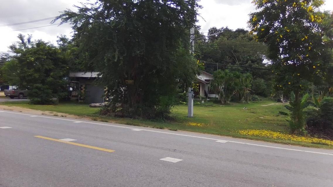 ที่ดินบ้านสวน มุกดาหาร 6