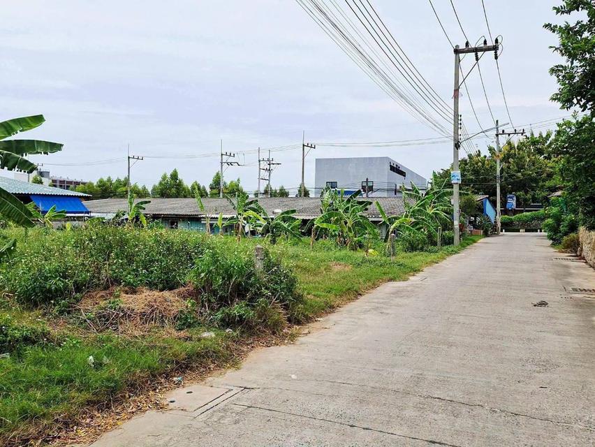 ที่ดิน 60 ตรว. ใกล้ทะเล ตลาดโรงโป๊ะ 1