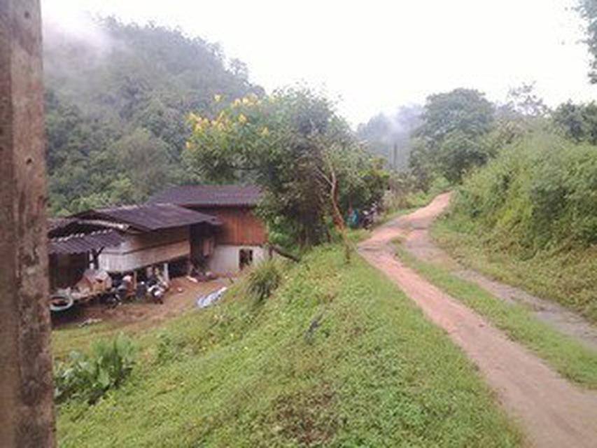 Lease Home Stay on the Hill Top Mountain  4