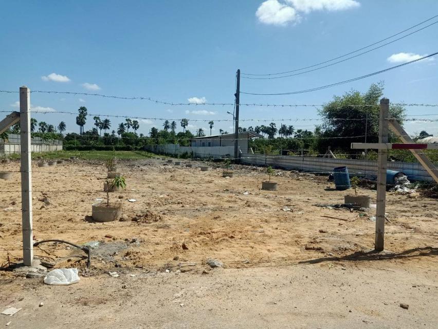 รูป ขาย ที่ดิน 1-3-61 ไร่ ติดถนนรัตนาธิเบศร์ ใกล้ รถไฟฟ้า ท่าอิฐ เพียง 450 ม 4