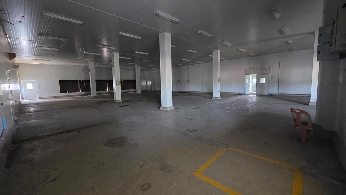 ขายโกดัง Isowall 1,600 ตร.ม. ติดถนนใหญ่ป่าซาง-ลำพูน สภาพพร้อมใช้งานได้ทันที 4