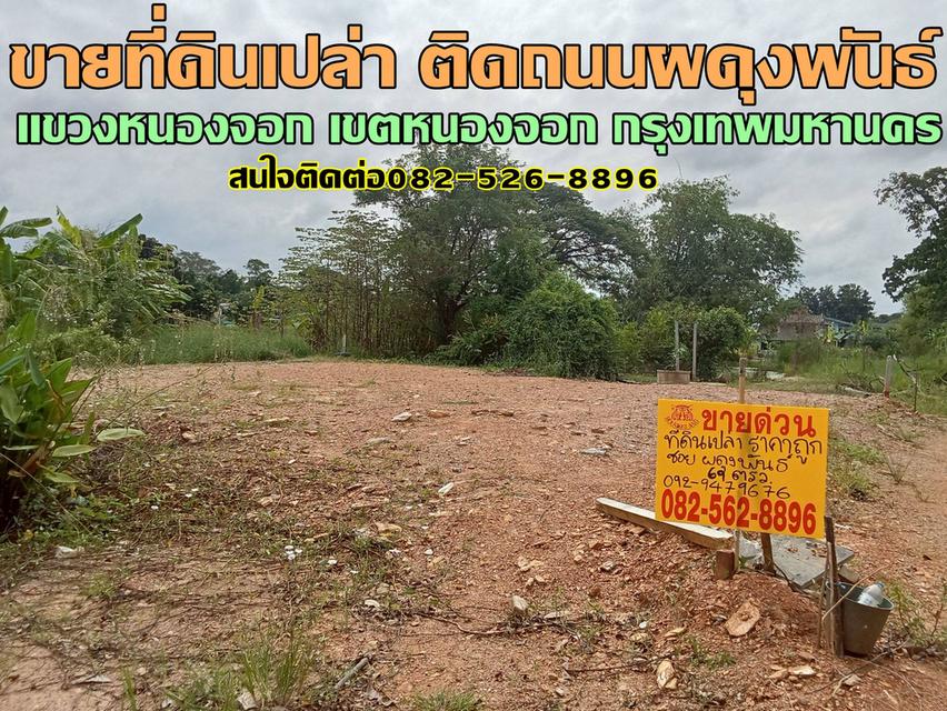 ขายที่ดินเปล่า ติดถนนผดุงพันธ์ หนองจอก กรุงเทพมหานคร