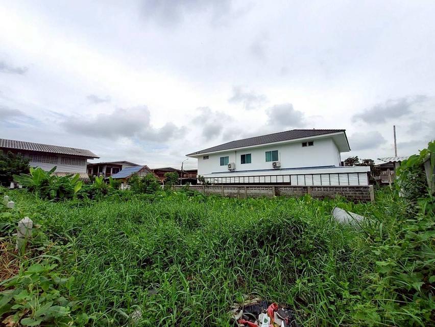 ขายถูก ที่ดินใกล้รถไฟฟ้าสายสีม่วง 103 ตารางวา แปลงมุม ติดถนนคอนกรีตสาธารณะ ซอยวัดไผ่เหลือง อ.บางบัวทอง จ.นนทบุรี 10