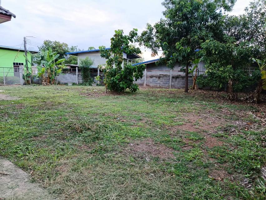 บ้านเดี่ยวชั้นเดียวหนองคาย 10