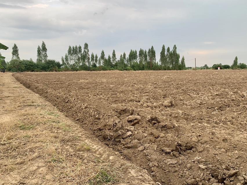 ขายที่ดินสวย16ไร่ ต.วังศาลา อ.ท่าม่วง แปลงสวย ทำเลดี แหล่งชุมชน ใกล้กรุงเทพ เดินทางสะดวก