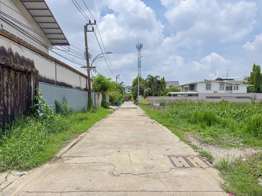 ที่ดิน ซอย สุขุมวิท 115 BTS ปู่เจ้า เทพารักษ์ สมุทรปราการ 11