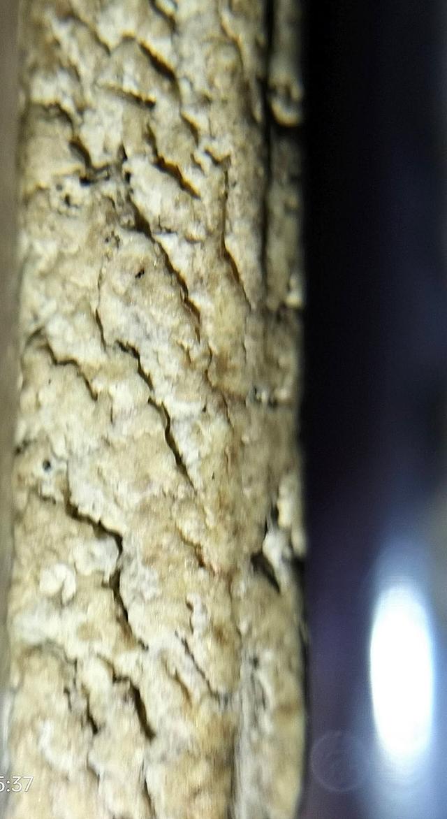 พระสมเด็จวัดระฆังพิมพ์อกกระบอกเล็ก รูปที่ 6