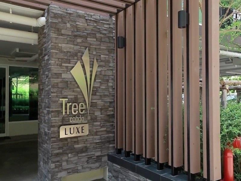  Sale/rent Tree Condo Luxe Sukhumvit 52  ➡️ 2 Bedrooms, 1 Bathroom, 4th Floor   ➡️ Room size: 50 sq.m.   1