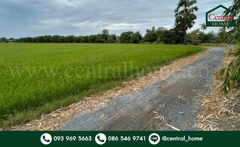 ที่ดิน 9-3-99.5 ไร่ ดอนโพธิ์ - สุพรรณบุรี มีผู้เช่า ทำเลดี 1