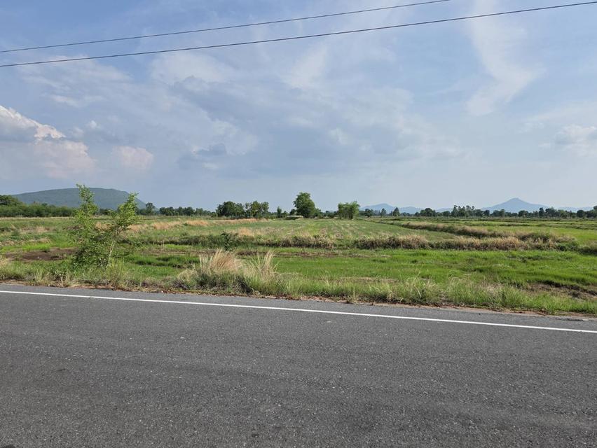 ที่ดิน โคกสำโรง ลพบุรี ขนาด 4-1-00 ไร่ๆละ 200,000 11