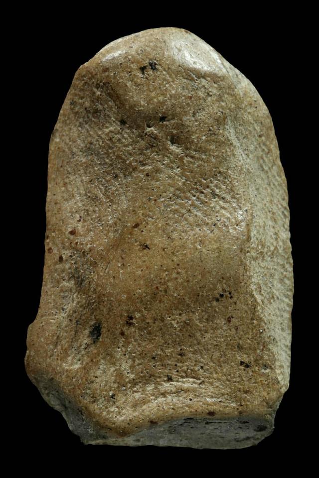 พระคง เปิดให้บูชาจ้า 2