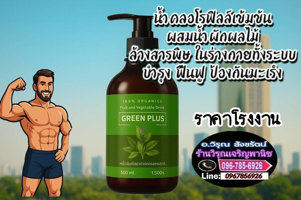 ไอรดาน้ำคลอโรฟิลล์เข้มข้นล้างสารพิษ