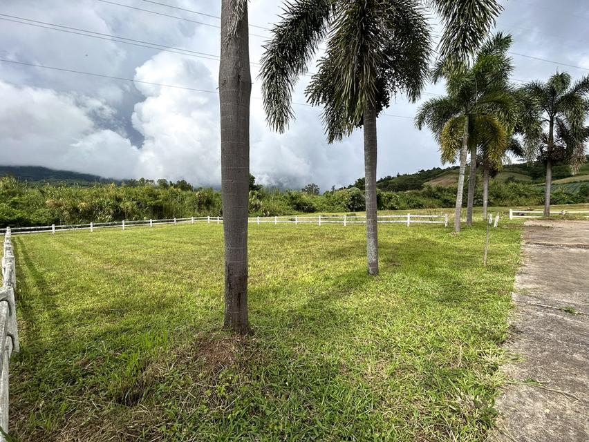 ขายที่ดินจัดสรรแปลงสวยเขาค้อ 6