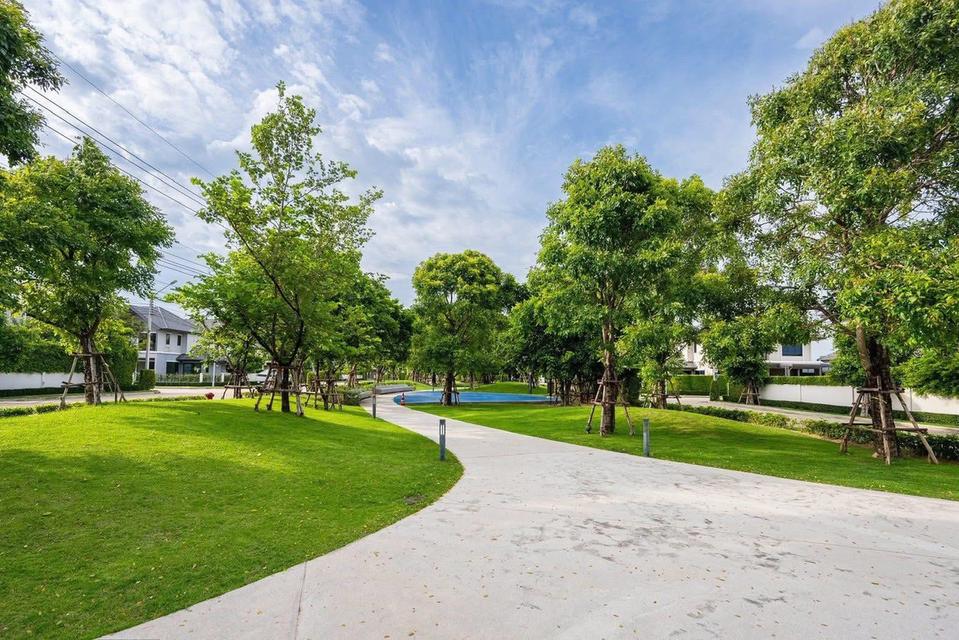 ขออนุญาต ขายบ้าน พร้อมเข้าอยู่ ใหม่มาก 🏠 PAVE ปิ่นเกล้า-ศาลายา 18