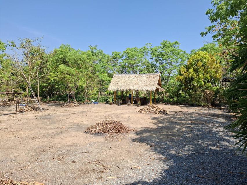 ขายที่ดิน 1 ไร่ จ.สุพรรณบุรี อ. เดิมบางนางบวช ที่ถมแล้วพร้อมเข้าอยู่ได้เลย 2