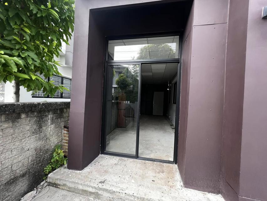 Atoll Java Bay : เอโทล จาวา เบย์ กิ่งแก้ว 19 14