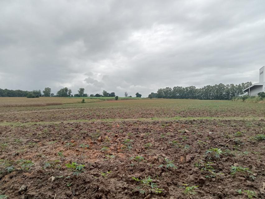 ขายที่ดิน ปักธงชัย ใกล้สหกรณ์ ลาน3 9