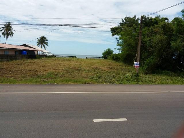 สวยงามวิวทะเลธรรมชาติสุดสุด ปะทิวใกล้หาดสวยทุ่งวัวแล่น ขายที่ดินติดทะเลวิวหลักล้านแปลงเล็กหายากติดหาดส่วนตัว ทรายขาวน้ำใ 6