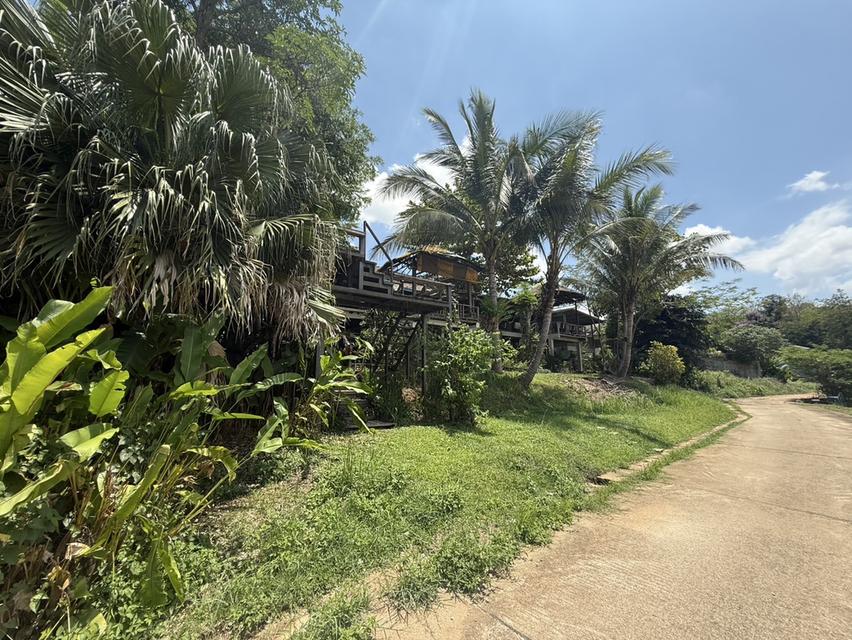 ที่ดินพร้อมบ้าน ที่เชียงราย 7