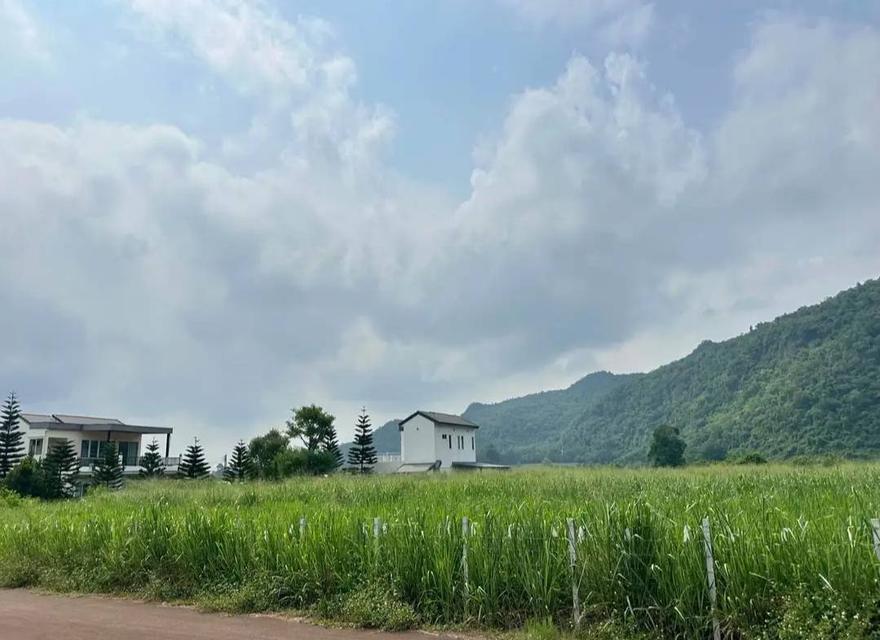 ขายที่ดินเขาวง หนองน้ำแดง เขาใหญ่ ปากช่อง 1.5ไร่ วิวเขาสวยมาก ถนนลาดยางสาธารณะ เดินทางสะดวก ใกล้ธนะรัชต์ มอเตอร์เวย์M6 ที่สูง ไม่เปลี่ยว บ้านตากอากาศ 4