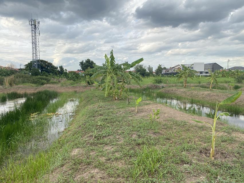 ที่ดินเปล่า เทิดราชัน47 3