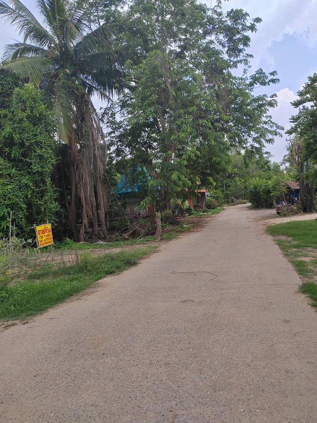 ขายที่ดินเปล่า ติดถนน ทำเลดี อำเภอโพทะเล​ จังหวัดพิจิตร​ 2