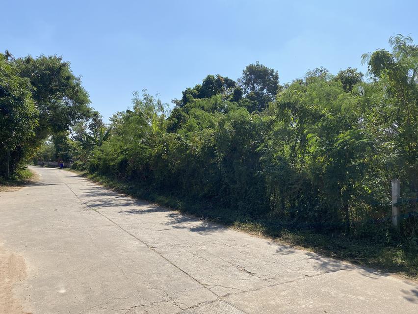 ที่ดินในเขตหมู่บ้าน ไฟฟ้าปะปาเข้าถึง 4