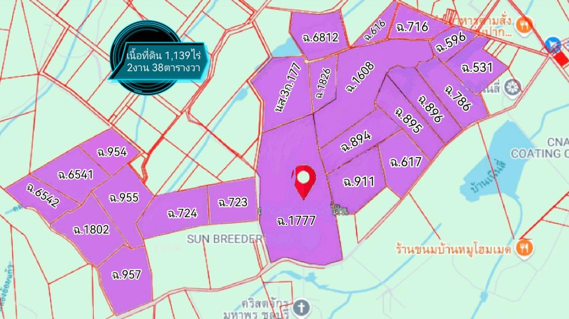 ขายที่ดิน ผังม่วงลาย ชลบุรี 2