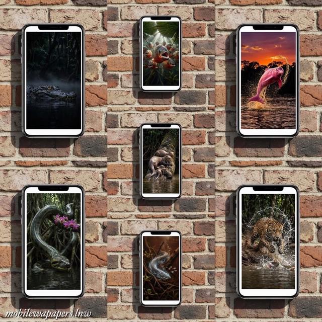 วอลเปเปอร์มือถือ วอลเปเปอร์โทรศัพท์ ภาพชุดสัตว์ป่าแห่งแม่น้ำแอมะซอน mobile phone wallpaper รูปย่อยที่ 1