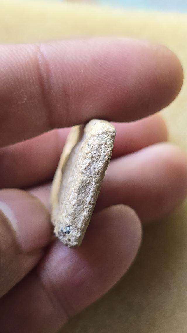 พระสมเด็จวัดระฆัง พิมพ์ใหญ่ 5