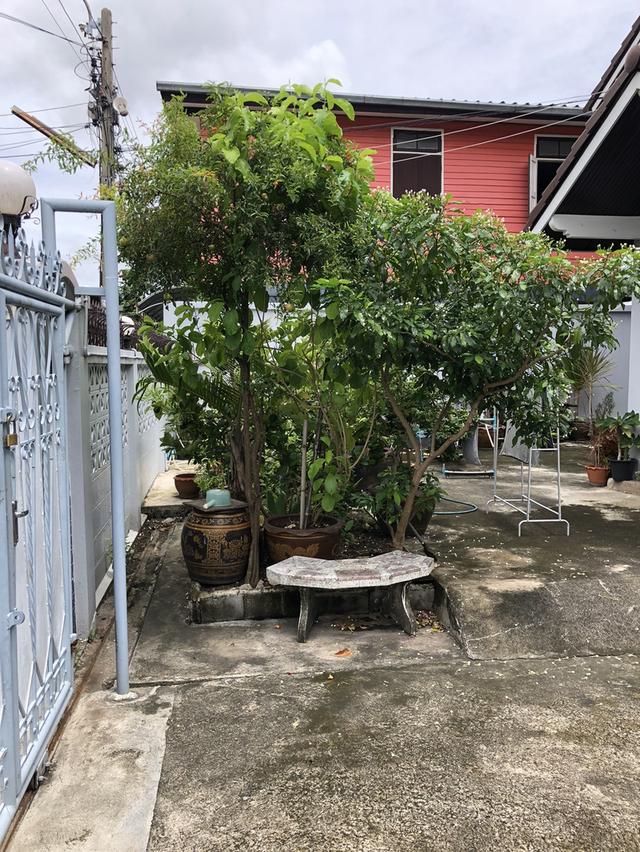 ขายบ้านเดี่ยวสองชั้น อยู่ในซอยด่านสำโรง 14 4