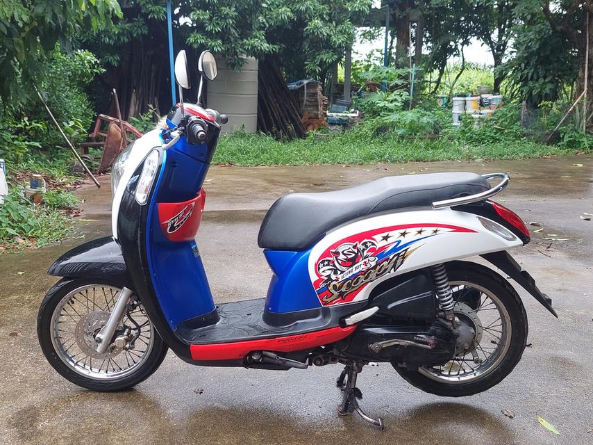honda scoopy i มือสอง