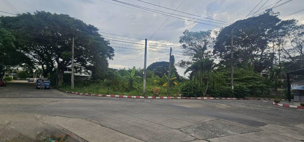 ขาย ที่ดิน ซอย1หมู่บ้านรวมเก้า 236 ตร.วา พุทธมณฑลสาย2 ซอย11 บางแค กทม 3