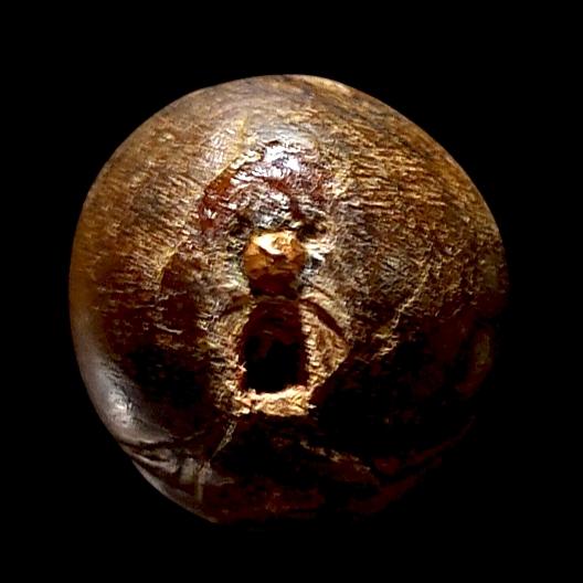 ปลัด ปุ้มปุ้ย เนื้อไม้ จารหมึก เก่า รูปที่ 5