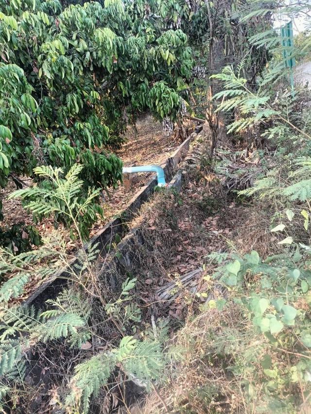 ขายที่ดินโฉนดครุฑแดง (เจ้าของขายเอง) 6