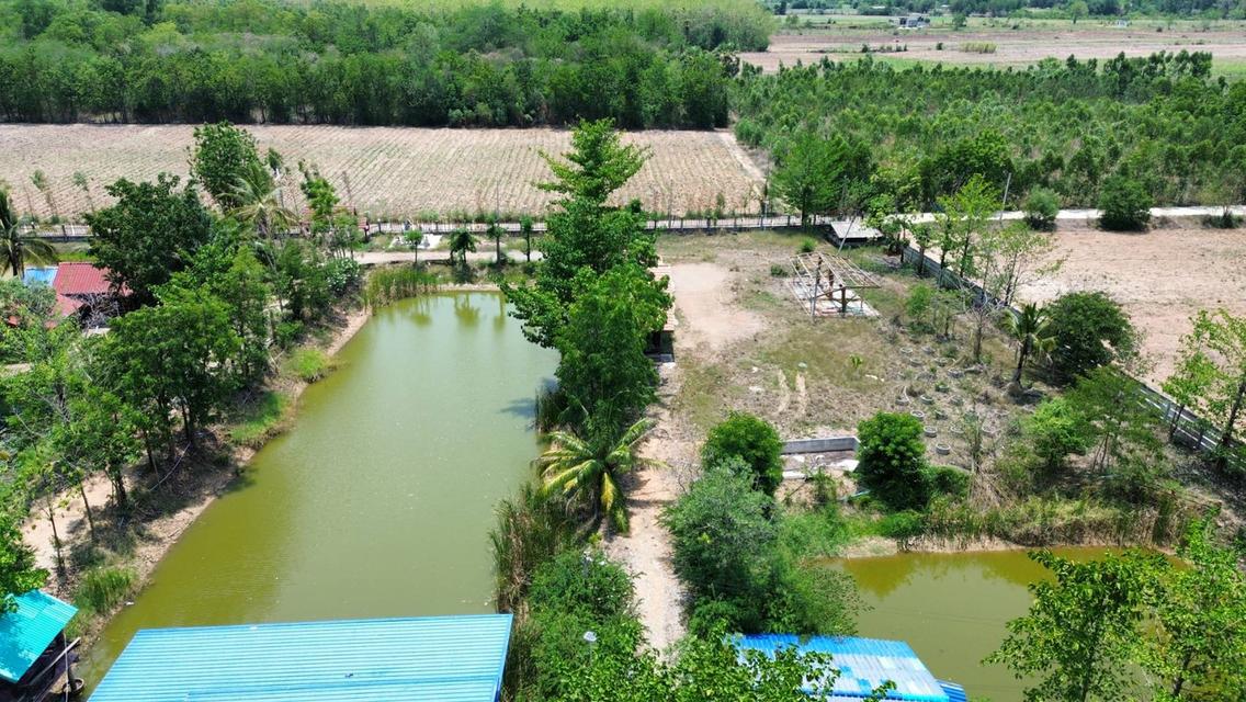 ที่ดินพร้อมบ้าน 9