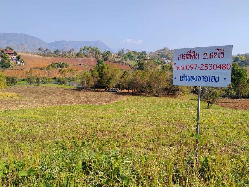 ที่ดินเขาค้อ วิวภูเขา ถนน น้ำ ไฟ พร้อม 4