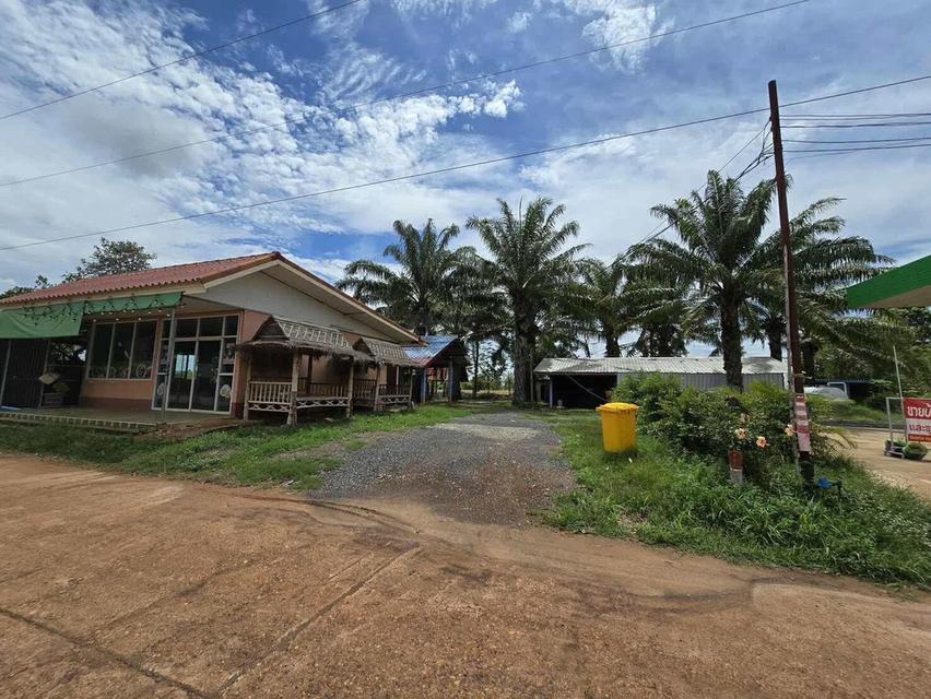 บ้านพร้อมที่ดินขายราคา 3.5 ล้าน 5