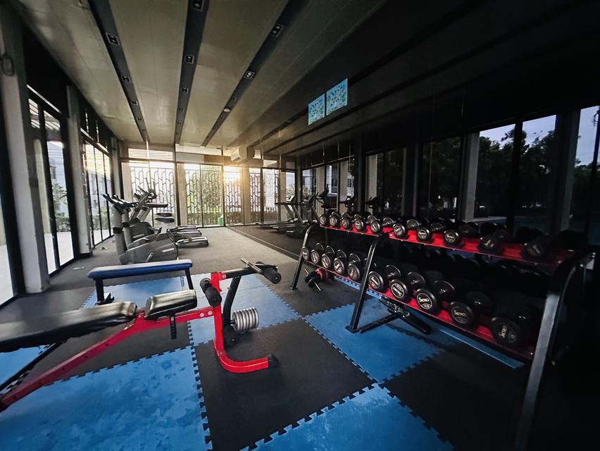 ขายทาวน์โฮม 2 ชั้น Habitown Nest ท่าข้าม – พระราม 2 ✨ เจ้าของขายเอง | ราคาคุ้มที่สุดในโครงการ! 🌹 ราคาปกติ 2.59 ลบ. ✅ พิเศษเพียง 2,390,000 บาท ทำเลดี 16