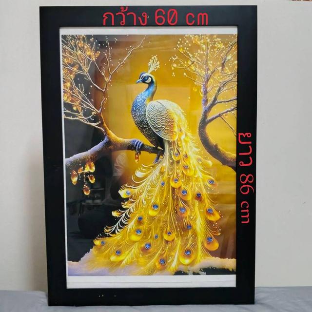 โปสเตอร์ภาพวาดนกยูงพร้อมกรอบขนาด 60 * 86 cm