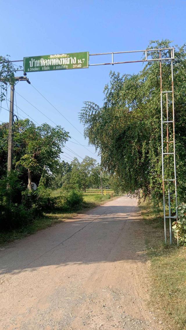 ขาย ที่ดิน ทำเล โนนสัง,หนองบัวลำภู เมือง หนองบัวลำภู  2