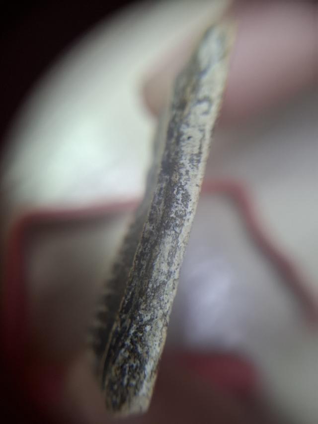 พระสมเด็จ9ชั้นวัดเกจไชโย 7