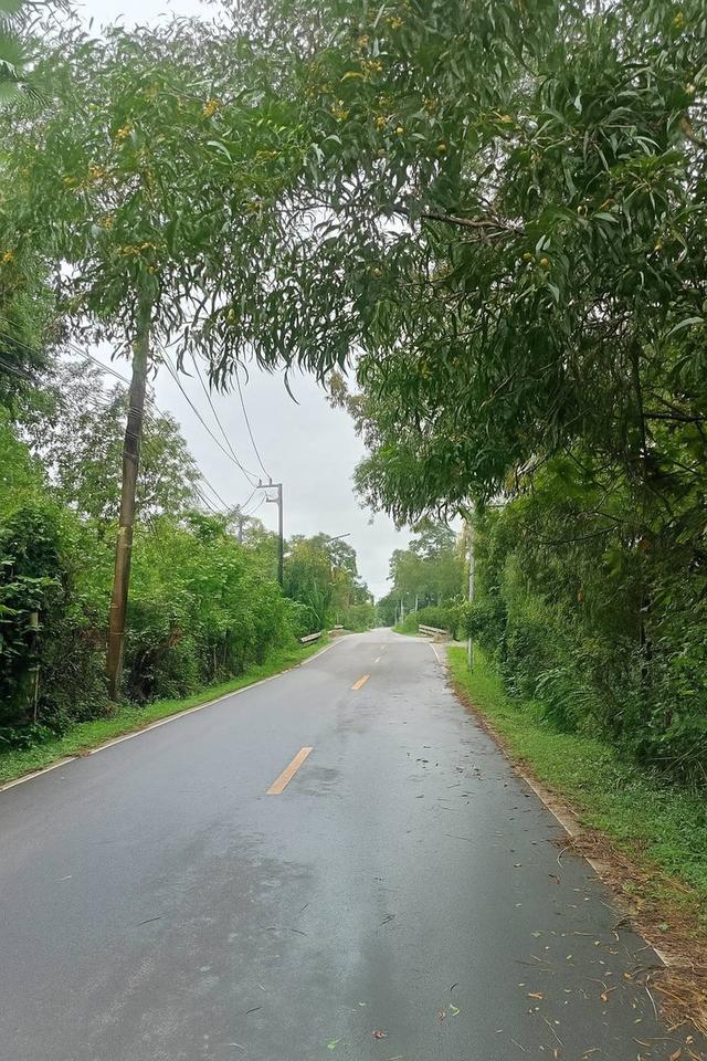  ขายที่ดินโฉนดครุฑแดง [เจ้าของขายเอง] 🧧1ไร่ 2 งาน 57 ตรว 3