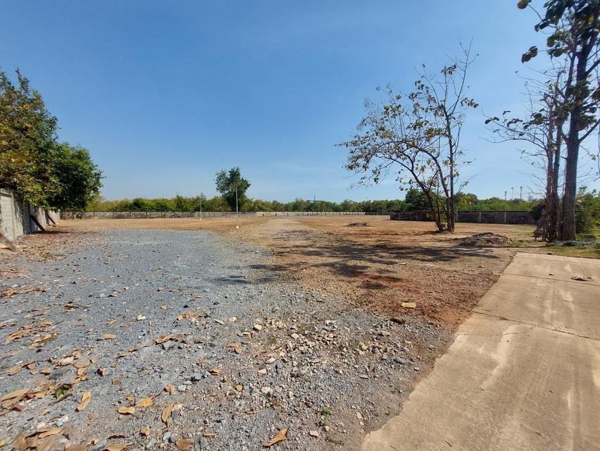 บ้านเดี่ยว ติดถนนพระรามสอง.วังมะนาว 7