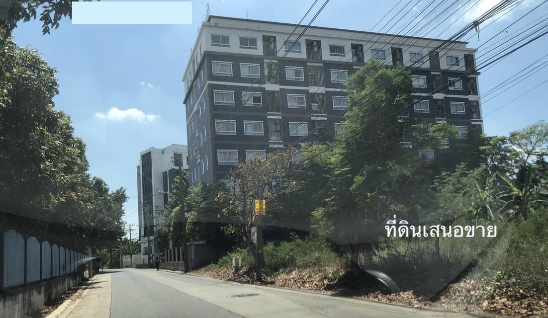 ขายที่ดิน 1 ไร่ ถนนติวานนท์ - ปากเกร็ด ซอย 56 ( ซอยพระแม่มหาการุณย์ 27 ) ปากเกร็ด นนทบุรี 098 7755 808 8
